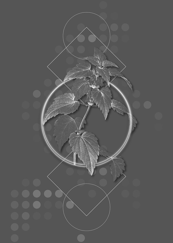 Geometric Gray Botanical