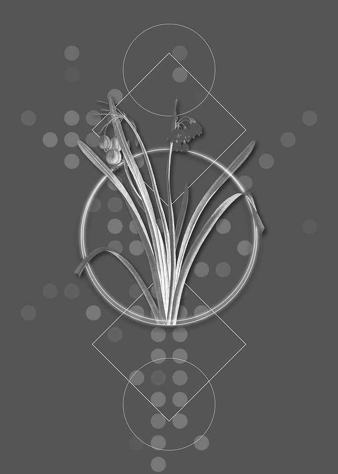 Vintage Summer Snowflake