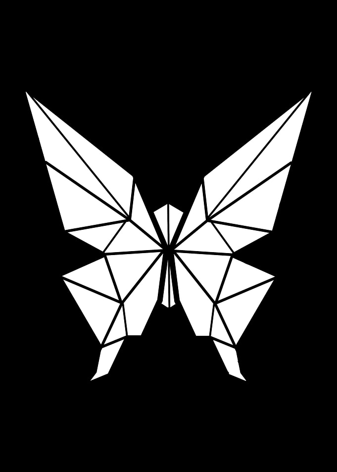 Butterfly Origami