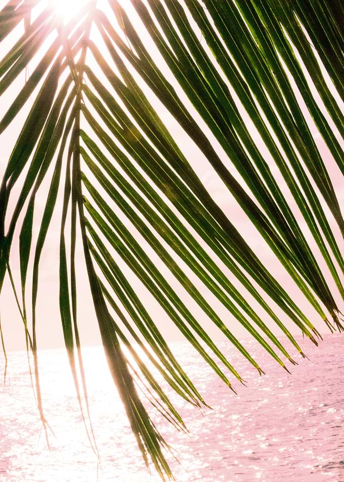 Sunset Ocean Palm 2