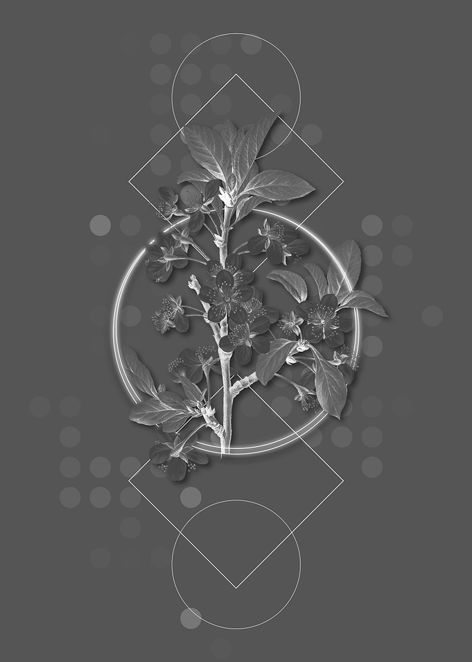 Vintage Grey Botanical