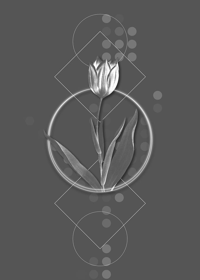 Geometric Tulip Flower