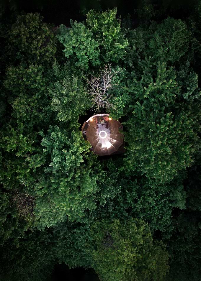 Bubble in nature