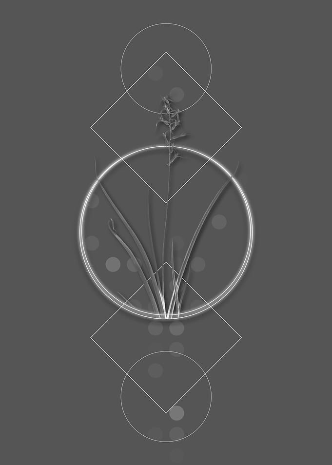 Geometric Modern Floral