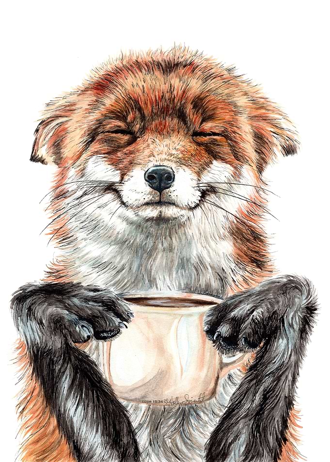 Morning Fox