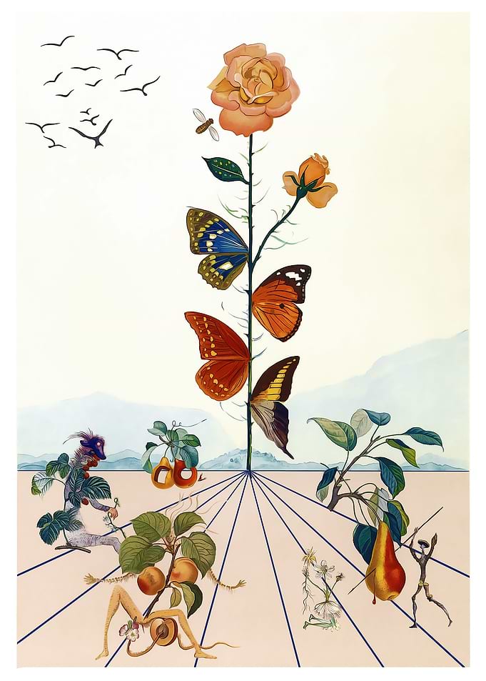 Dali