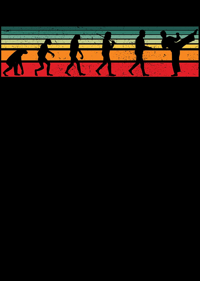 Karate Evolution