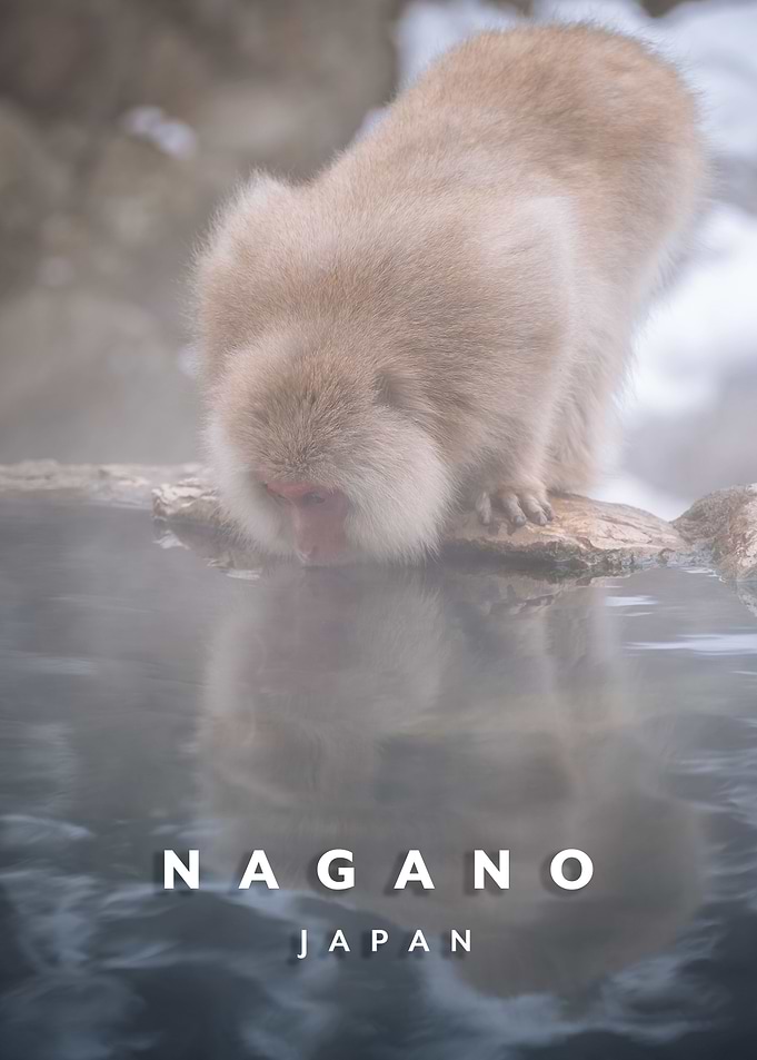 Nagano Monkey park