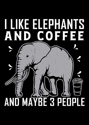 Elephant Animal Welfare
