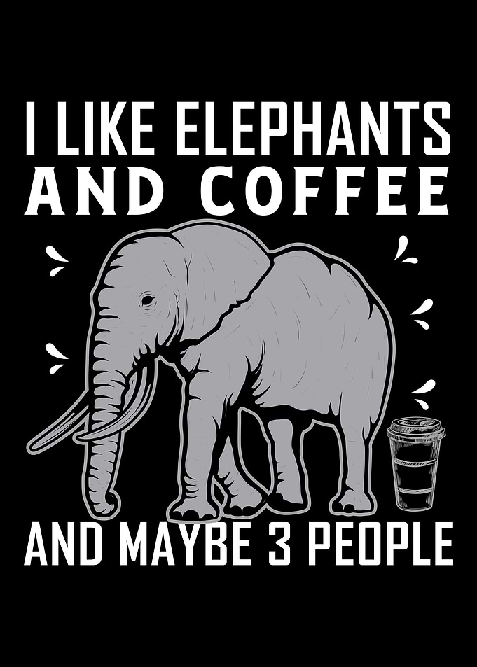 Elephant Animal Welfare