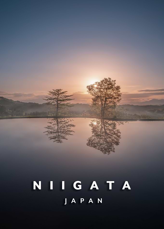 Niigata rice fields