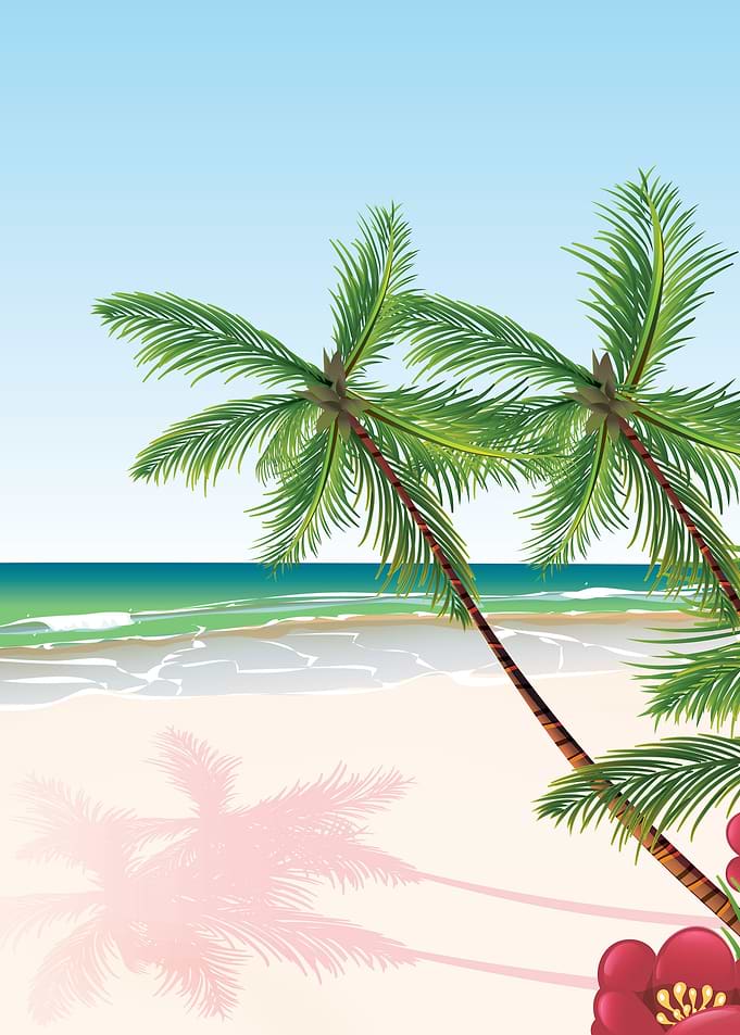 Tropical Beach