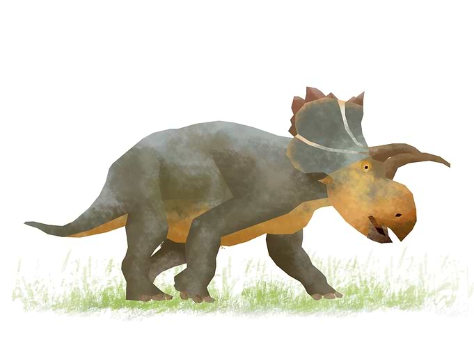 Triceratops