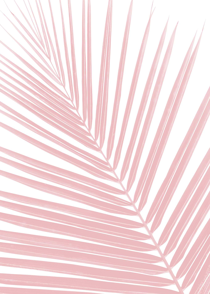 Blush Pink Palm Leaf 1