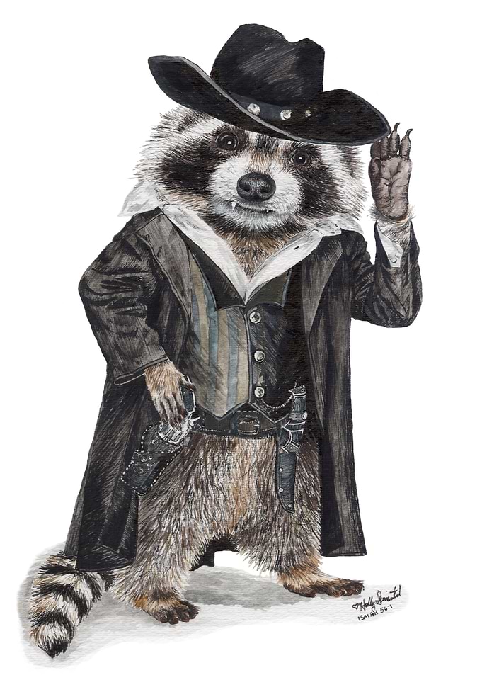 Raccoon Bandit