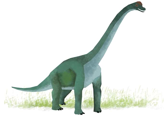 Brachiosaurus Dinosaur