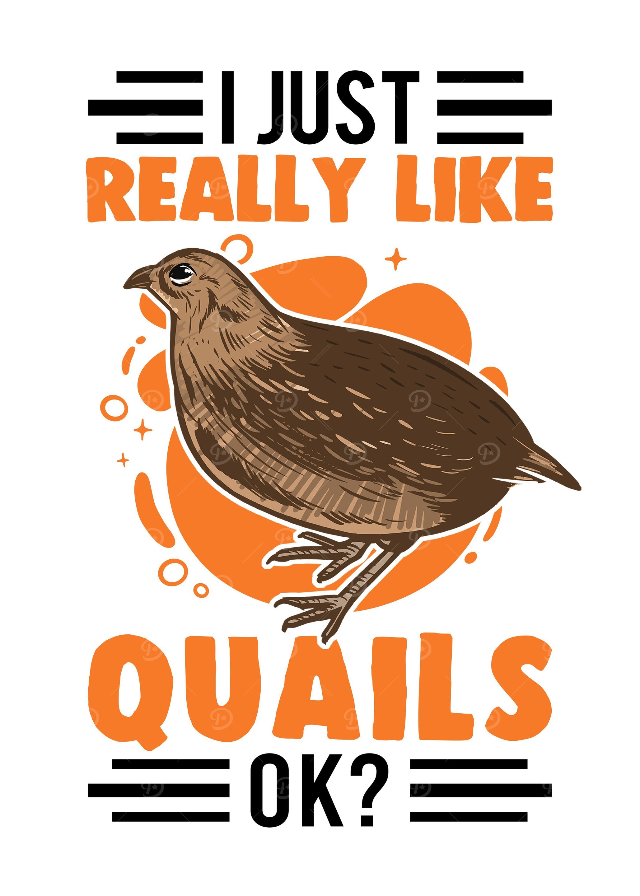 I Just Really Like Quails