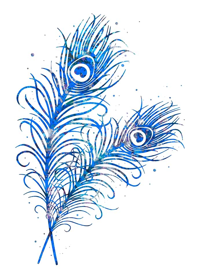 Peacock feather blue art