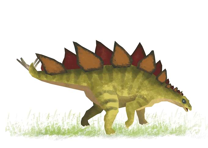 Stegosaurus Dinosaur