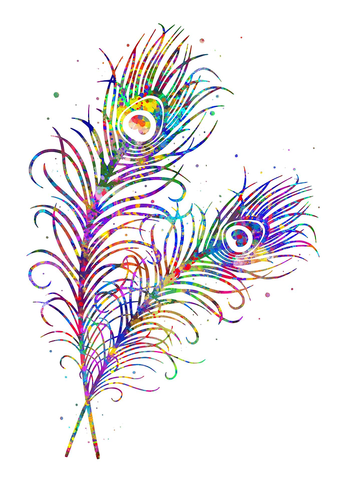 Peacock feather