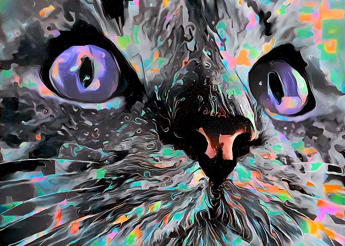 Glitch Liquid Cat