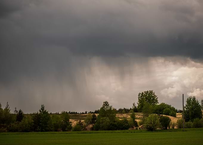 The Rain