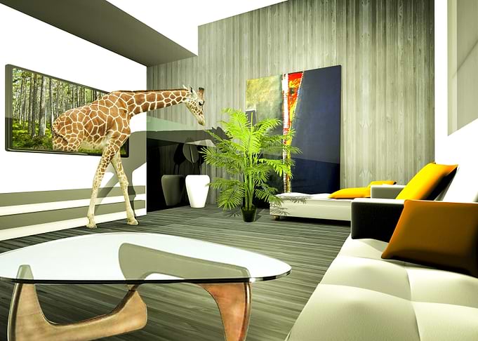 Camel Style