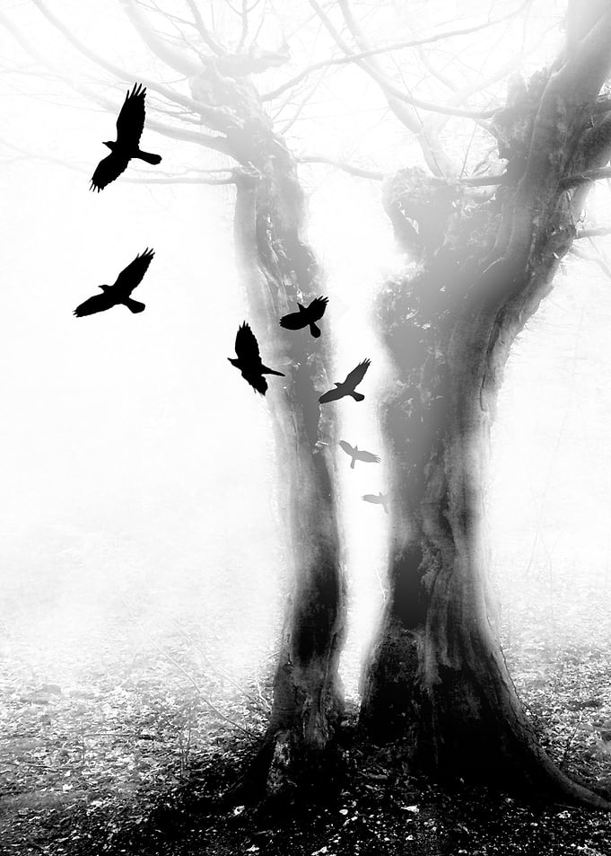 tree