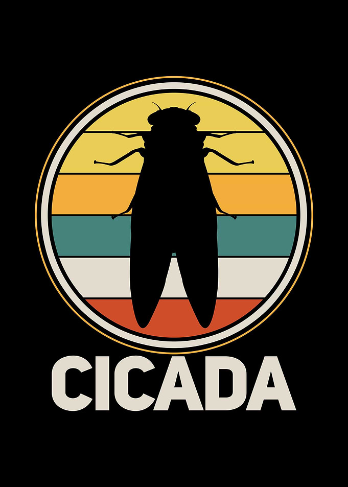 Cicada Insect Retro
