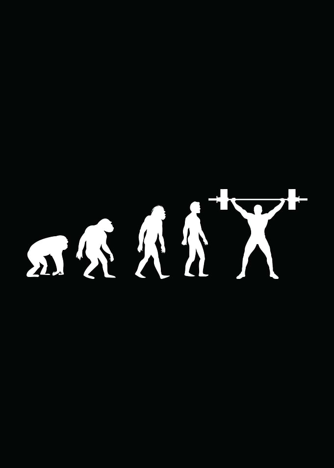 Evolution of Lifter