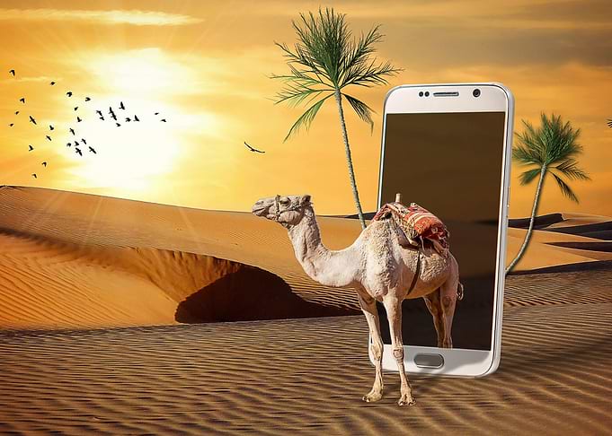 Desert walker