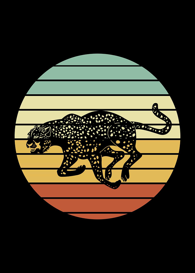 Cheetah Running