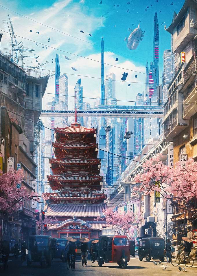 cherry blossom