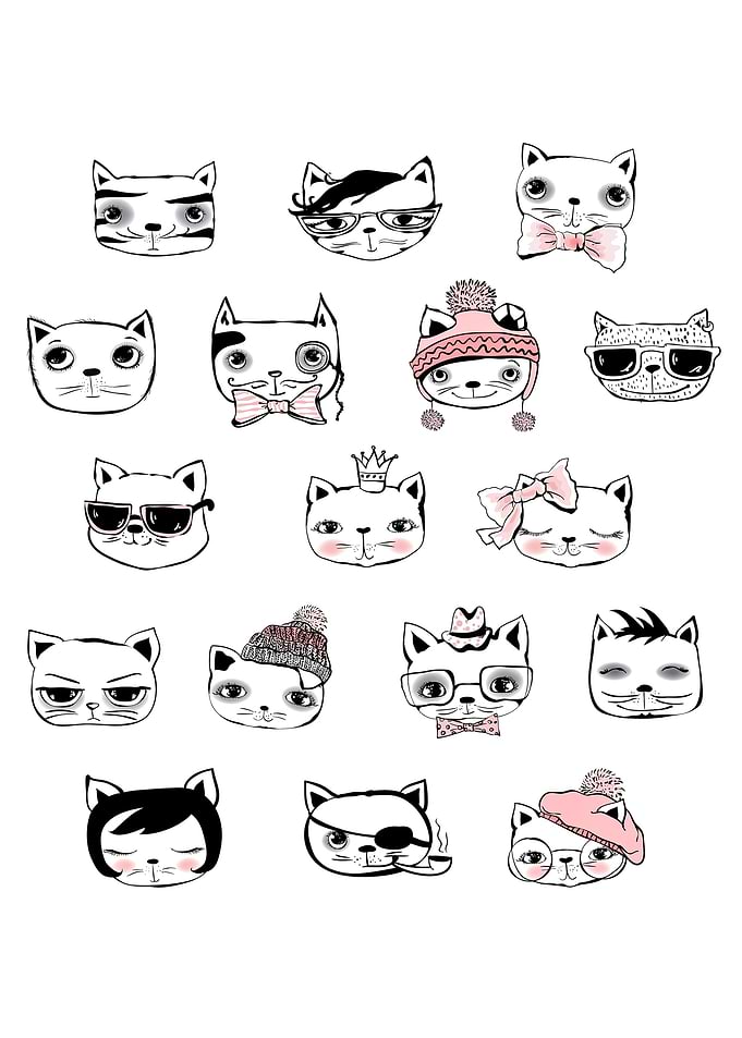CAT LOVE