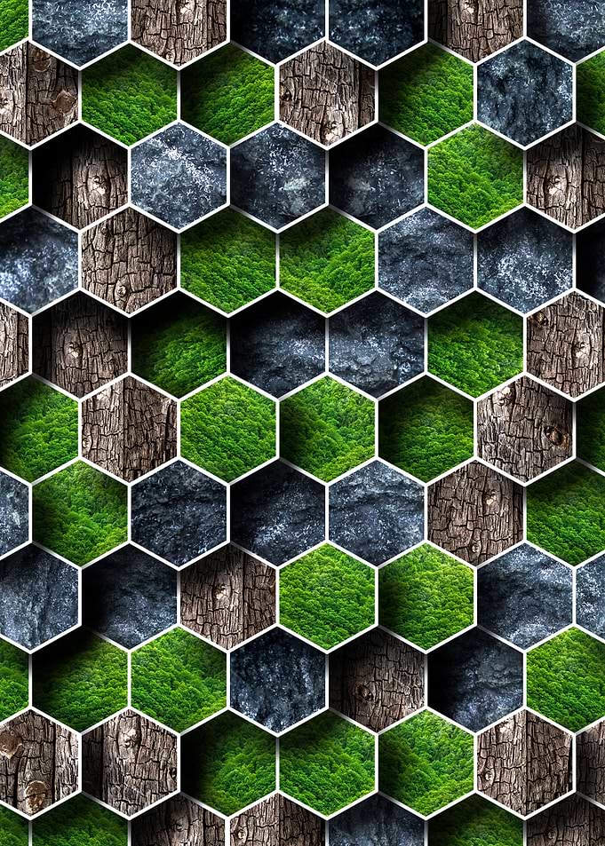 Modern forest rock moss