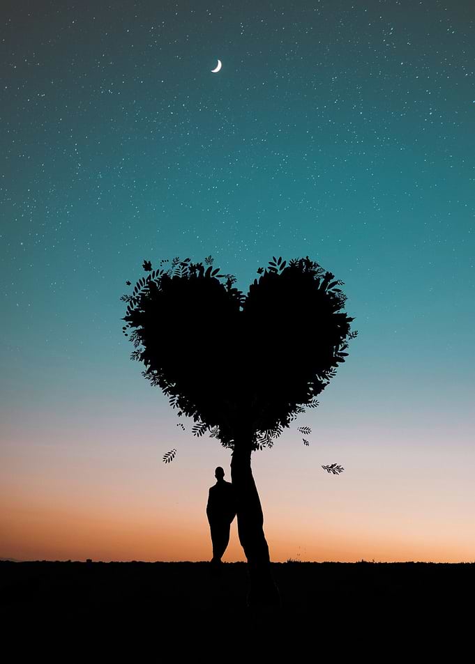 tree love people sunset