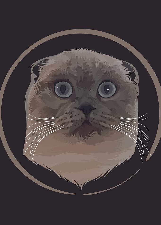 Scottish Fold