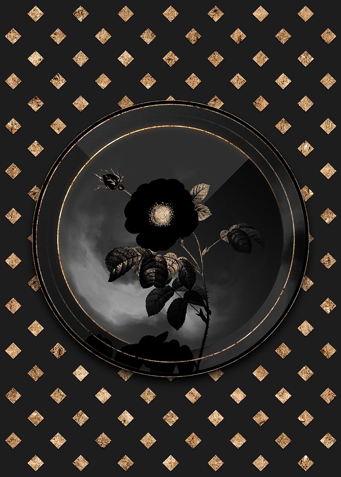 Shadowy Gold Rose Flowers