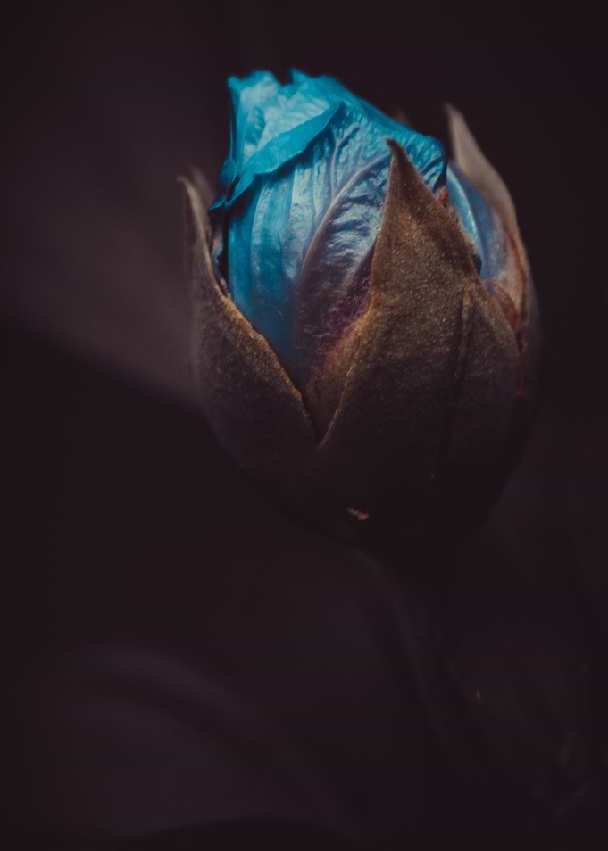 Blue about you