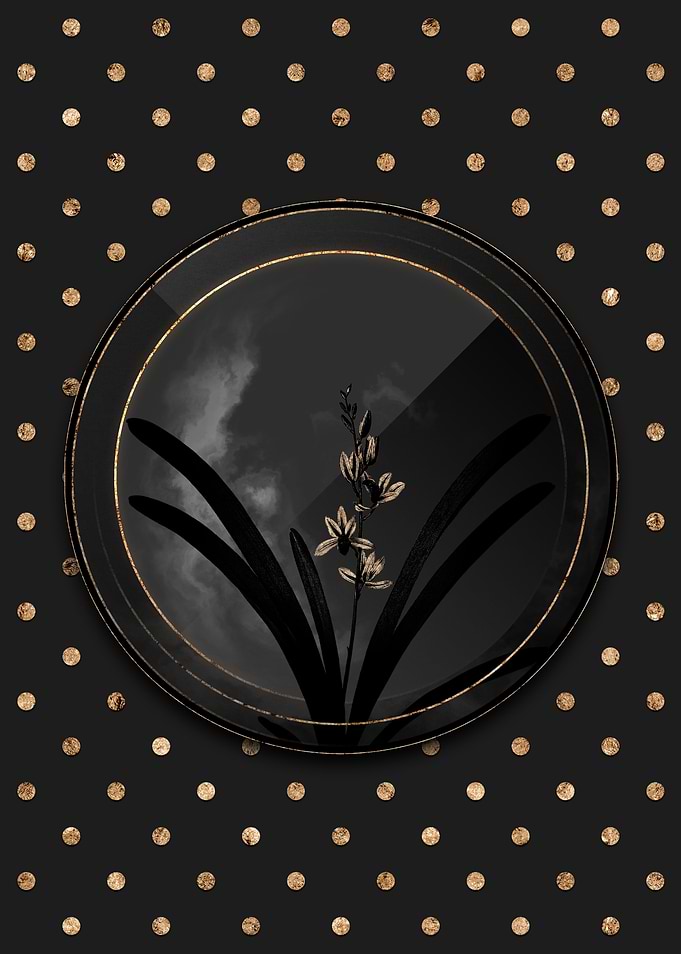 Gold Shadowy Boat Orchid