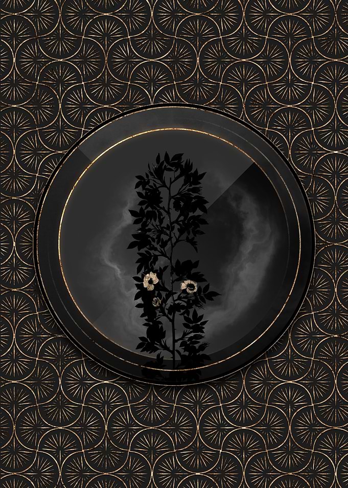 Shadowy Cuspidate Rose