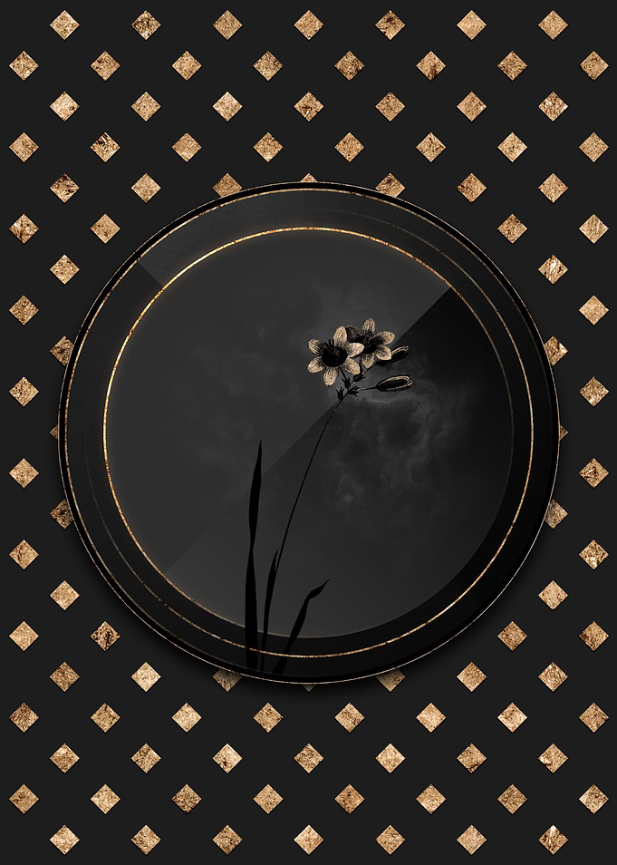Shadowy Galaxia Ixiaeflora