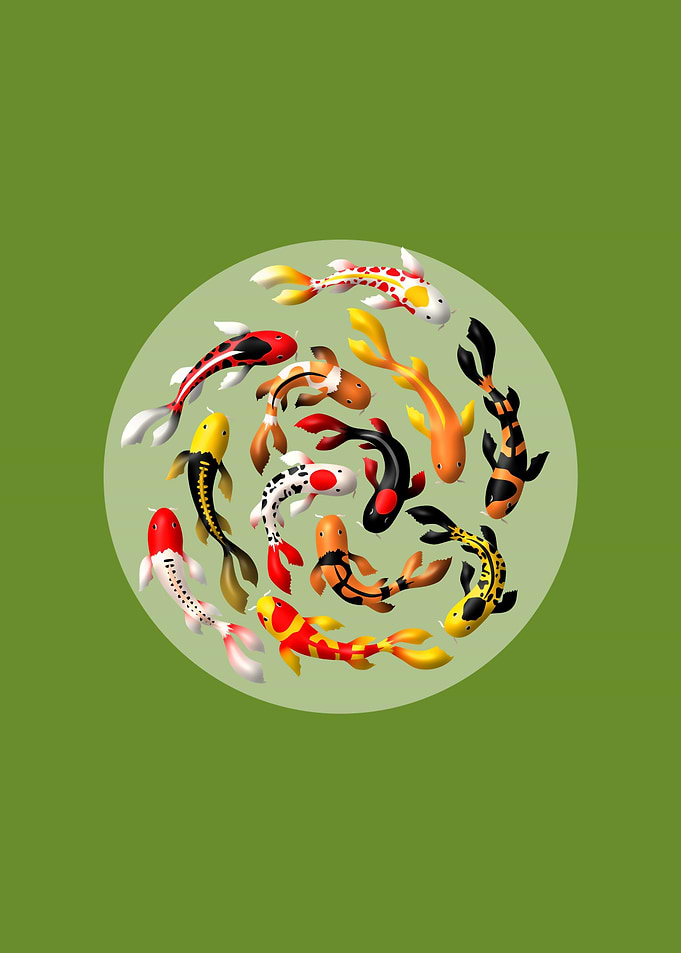 Japanese koi in green