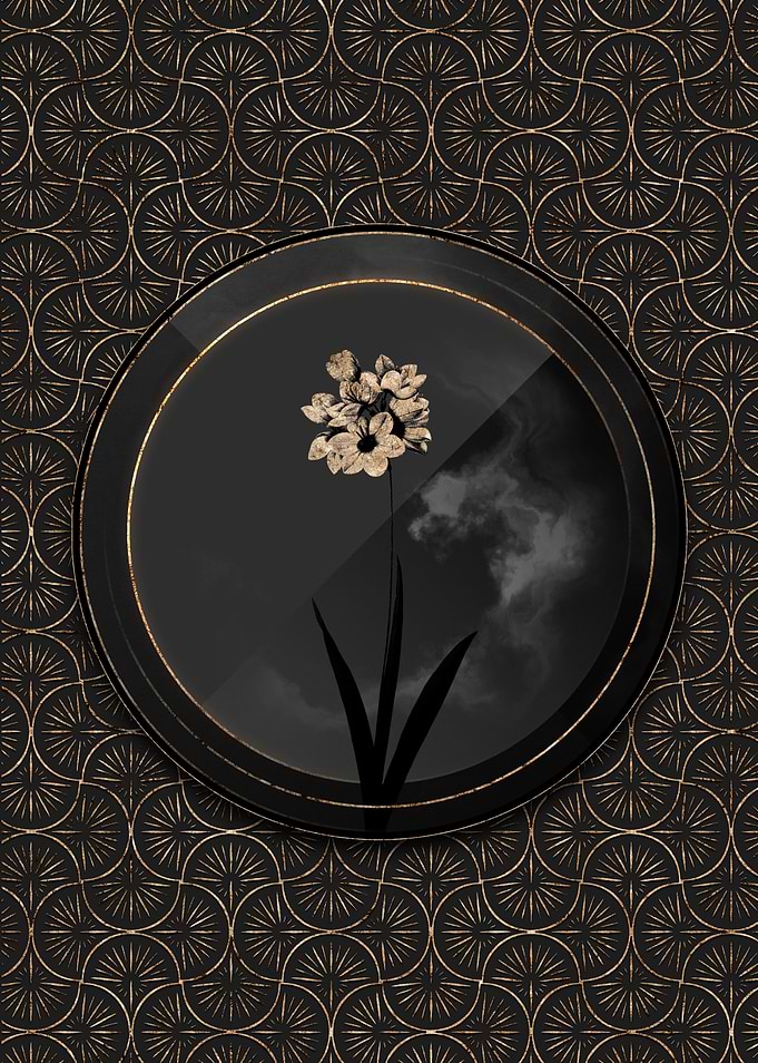 Shadowy Art Deco Gold Ixia
