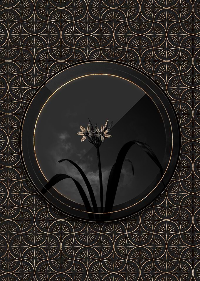 Black and Gold Florals