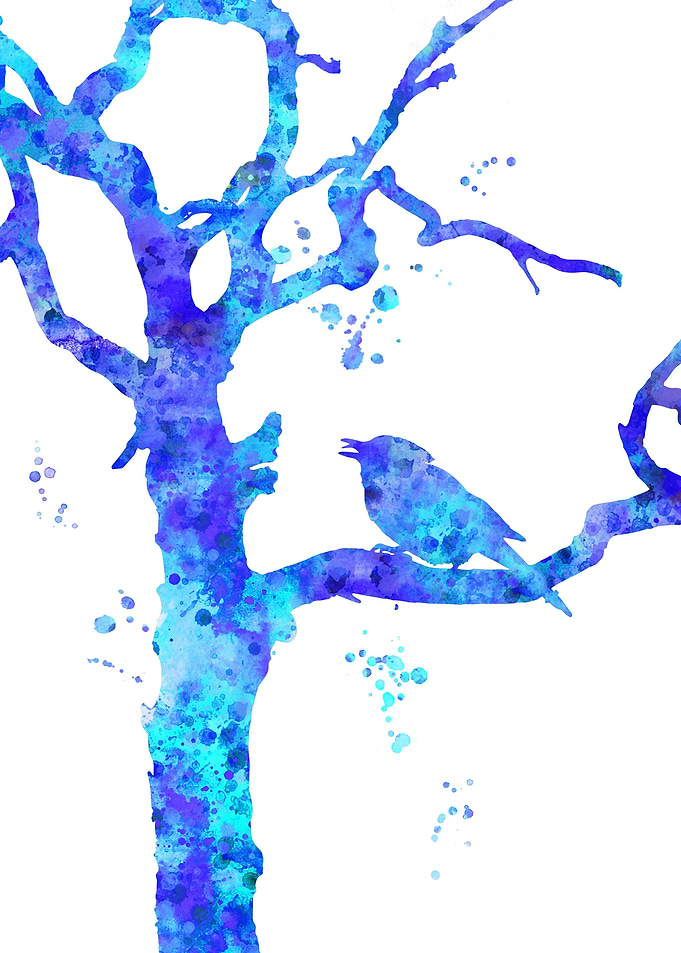 Blue Jay