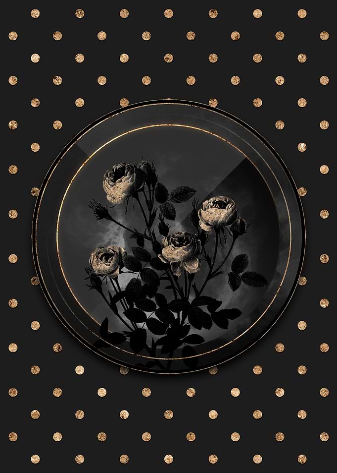 Shadowy Burgundian Rose