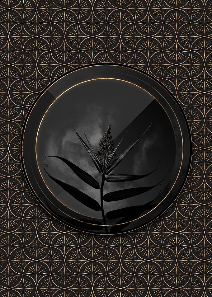 Black and Gold Bush Cane