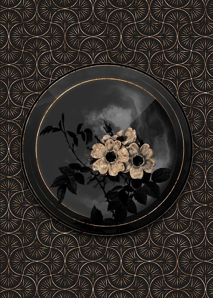Black and Gold Shadow Rose