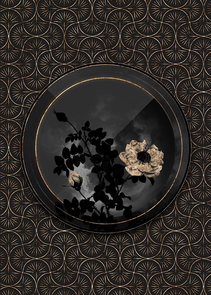 Black and Gold Burnet Rose